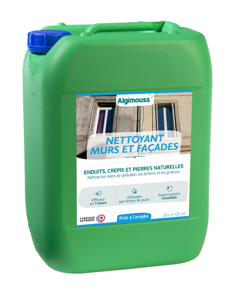 Nettoyeur Façade Alcalin Cleanprince - 5 Litres Concentré - Béton, Pierre, Marbre - Made In Germany
