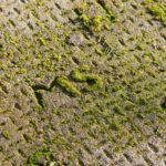 Comment enlever la mousse sur une terrasse