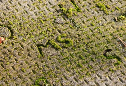 Comment enlever la mousse sur une terrasse