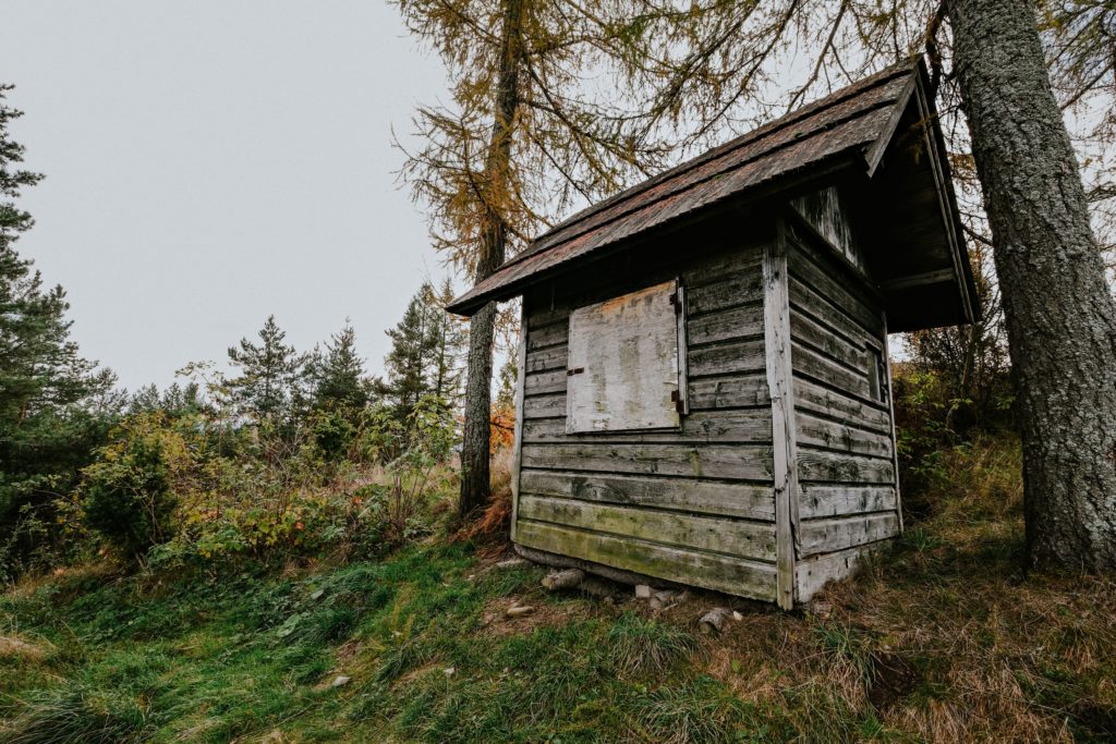 Comment enlever le lichen sur du bois ?