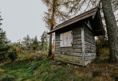 Comment enlever le lichen sur du bois ?