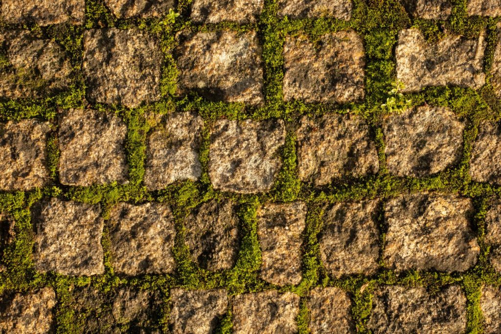enlever le lichen au sol